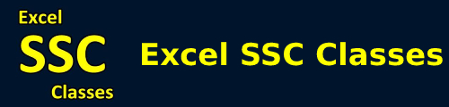 Excel SSC Coaching Delhi Logo